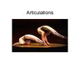 Articulations PowerPoint PPT Presentation