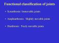 Functional classification of joints PowerPoint PPT Presentation