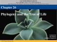 Phylogeny and the Tree of Life PowerPoint PPT Presentation