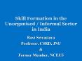 Skill Formation in the Unorganised / Informal Sector in India PowerPoint PPT Presentation