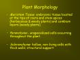 Plant Morphology PowerPoint PPT Presentation