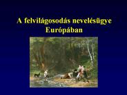 A%20felvil