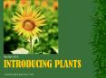 Introducing plants PowerPoint PPT Presentation