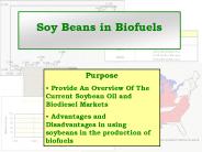 Soy Beans in Biofuels