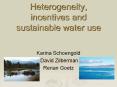 Heterogeneity, incentives and sustainable water use PowerPoint PPT Presentation