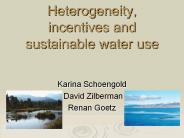 Heterogeneity, incentives and sustainable water use