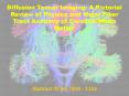 Diffusion Tensor Imaging: A Pictorial Review of Physics and Major Fiber Tract Anatomy of Cerebral White Matter     Abstract ID No.: IRIA - 1153 PowerPoint PPT Presentation
