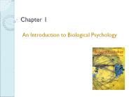 An%20Introduction%20to%20Biological%20Psychology