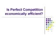 Is Perfect Competition economically efficient? PowerPoint PPT Presentation