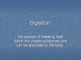 Digestion PowerPoint PPT Presentation
