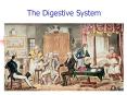 The Digestive System PowerPoint PPT Presentation