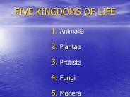 FIVE%20KINGDOMS%20OF%20LIFE