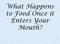 What Happens to Food Once it Enters Your Mouth? PowerPoint PPT Presentation
