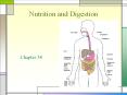 Nutrition and Digestion PowerPoint PPT Presentation