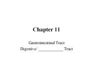 Gastrointestinal Tract