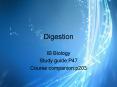 Digestion PowerPoint PPT Presentation
