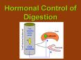 Hormonal Control of Digestion PowerPoint PPT Presentation