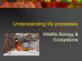 Understanding life processes PowerPoint PPT Presentation