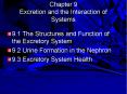 Chapter 9 Excretion and the Interaction of Systems PowerPoint PPT Presentation
