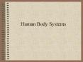 Human Body Systems PowerPoint PPT Presentation