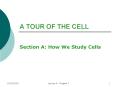 A TOUR OF THE CELL PowerPoint PPT Presentation