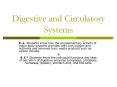Digestive and Circulatory Systems PowerPoint PPT Presentation