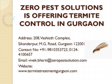 Termite control in Gurgaon- for 2015