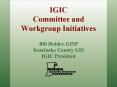 IGIC Committee and Workgroup Initiatives PowerPoint PPT Presentation