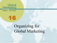 Organizing for Global Marketing