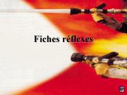 Fiches r