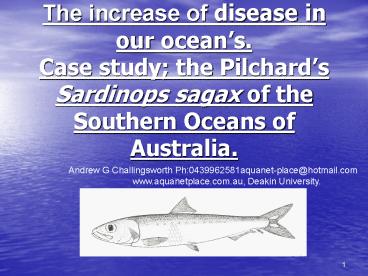 The increase of disease in our ocean