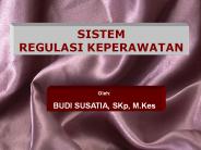 Sistem regulasi keperawatan