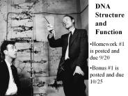DNA Structure and Function