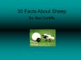 30 Facts About Sheep PowerPoint PPT Presentation