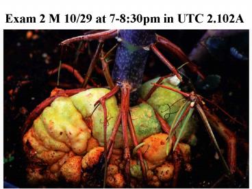 Exam 2 M 10/29 at 7-8:30pm in UTC 2.102A