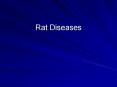 Rat Diseases PowerPoint PPT Presentation