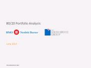 80/20 Portfolio Analysis   June 2014