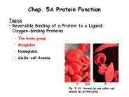Lehninger Principles of Biochemistry