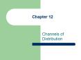 Channels of Distribution PowerPoint PPT Presentation