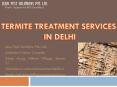 Termite Treatment Services in Delhi