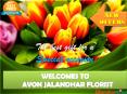 Avon Jalandhar Florist PowerPoint PPT Presentation