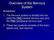 Overview of the Nervous System