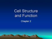 Cell Structure and Function