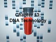 Chapter 13:  DNA Technology