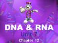 DNA PowerPoint PPT Presentation