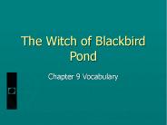 The Witch of Blackbird Pond