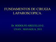 FUNDAMENTOS DE CIRUGIA LAPAROSCOPICA.