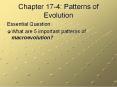 Chapter 17-4: Patterns of Evolution PowerPoint PPT Presentation