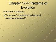 Chapter 17-4: Patterns of Evolution