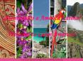 Photo source: http://www.destinationbride.com/files/latin-america.jpg PowerPoint PPT Presentation